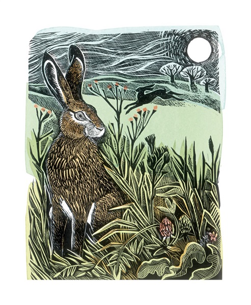 'Hidden Hares' by Angela Harding (A096) NEW 