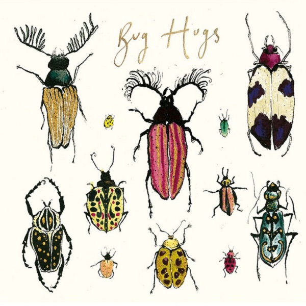 'Bug hugs' by Anna Wright (K043) 