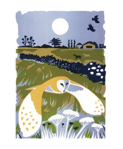 'Barn Owl' by Carry Akroyd (A255) *
