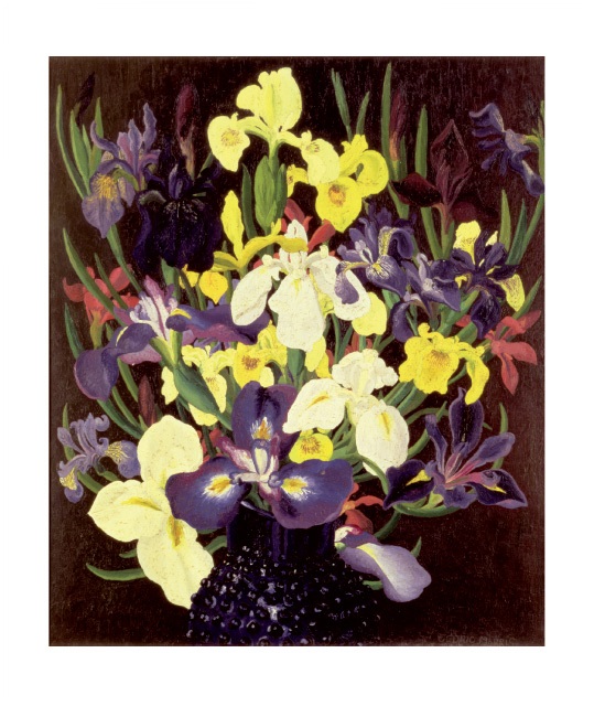 'Group of Irises' c1940 by Cedric Morris (1889 - 1982) (A873) *