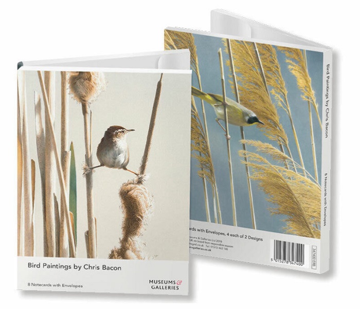 Chris Bacon 'Bird Paintings' Notelets 2 x 4 designs (Lightswept Common Yellowthroat / Spring! Marsh Wren)