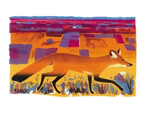 'Fen Fox II' by Carry Akroyd (caa1)