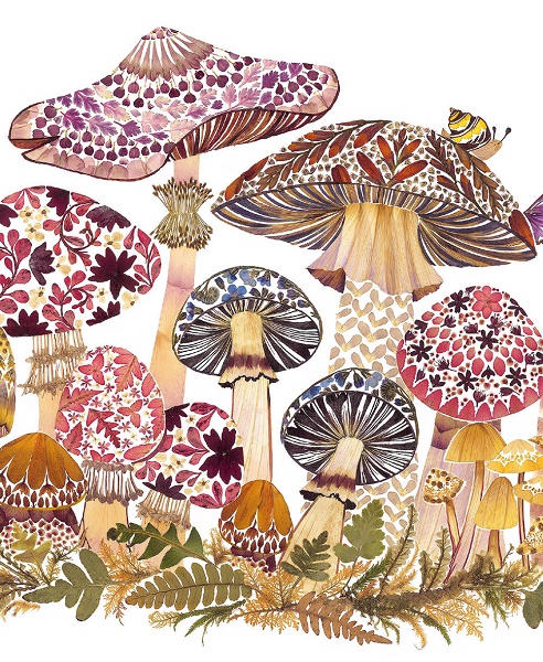 'Fabulous Funghi' by Helen Ahpornsiri (V148) 