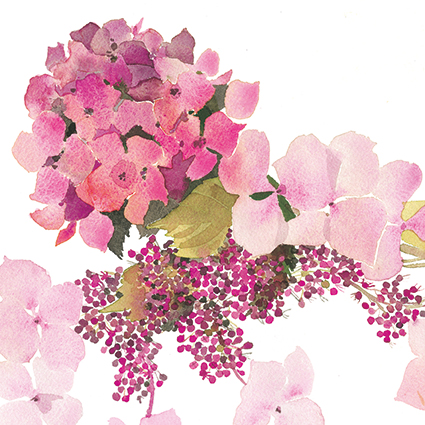 'Pink hydrangea' by Jane Ormes (C657) NEW