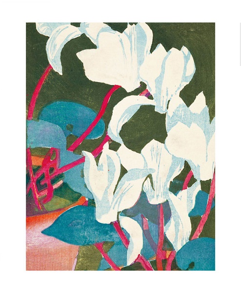 'Cyclamen' by Mabel Royds (A960) 
