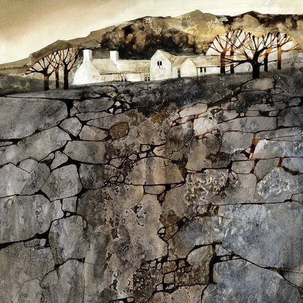 'Dry Stone Wall' by Michael Morgan (D005)