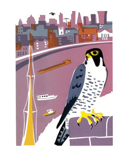 'Peregrine Falcon' by Carry Akroyd (A257) Was 2.50, now 1.75