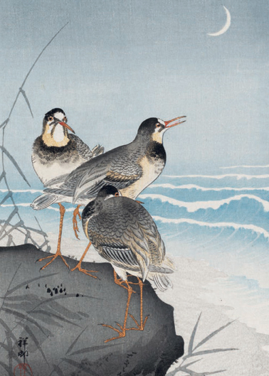 'Plovers and Waves' c1926 by Ohara Koson (B502) *