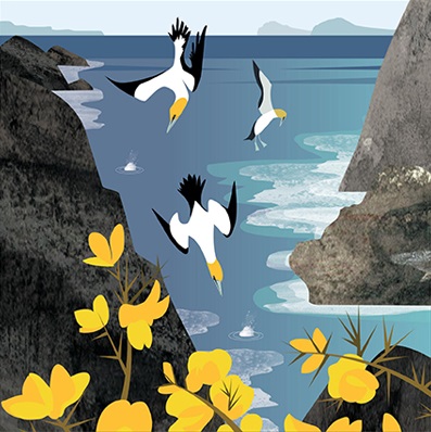 'Diving Gannets' by Rachel Hudson (T072) NEW