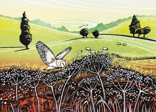 'Barn Owl Hunting' by Rob Barnes (R233) d Was 2.95, now 1.75