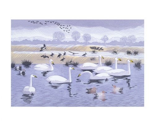'Seven Swans' by Niki Bowers (A794) *