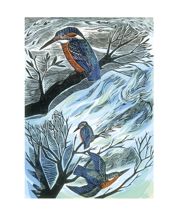 'Suffolk Kingfishers' by Angela Harding (A065) NEW 