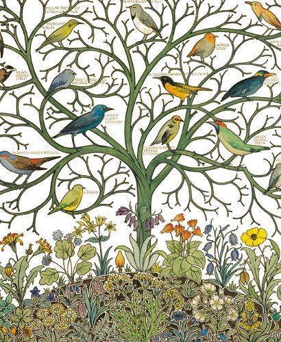 Birds of Many Climes textile design by C.F.A Voysey  (V063) *  
