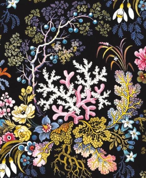 Kilburn Coral from a textile design by William Kilburn (1745 - 1818) (V164) 