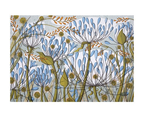 'Agapanthus II' by Angie Lewin (A003) 