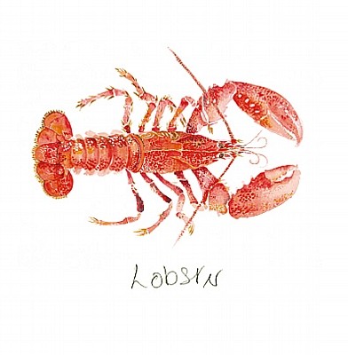 'Red Lobster' by Angie Horder (L026) d Was 2.95, now 1.75