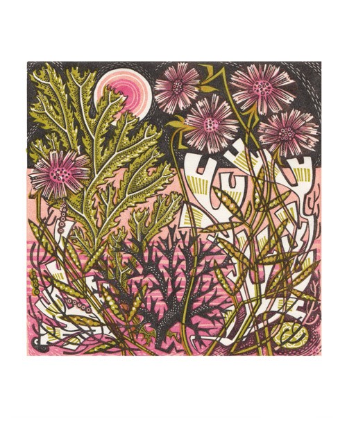 'Sea Pinks' by Angie Lewin (A596) 