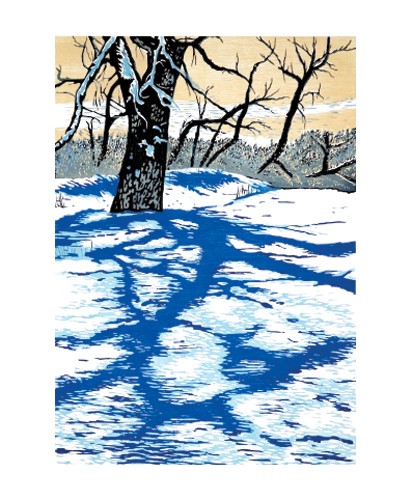 'Winter Shadows' by Theresa Haberkorn (A051w)