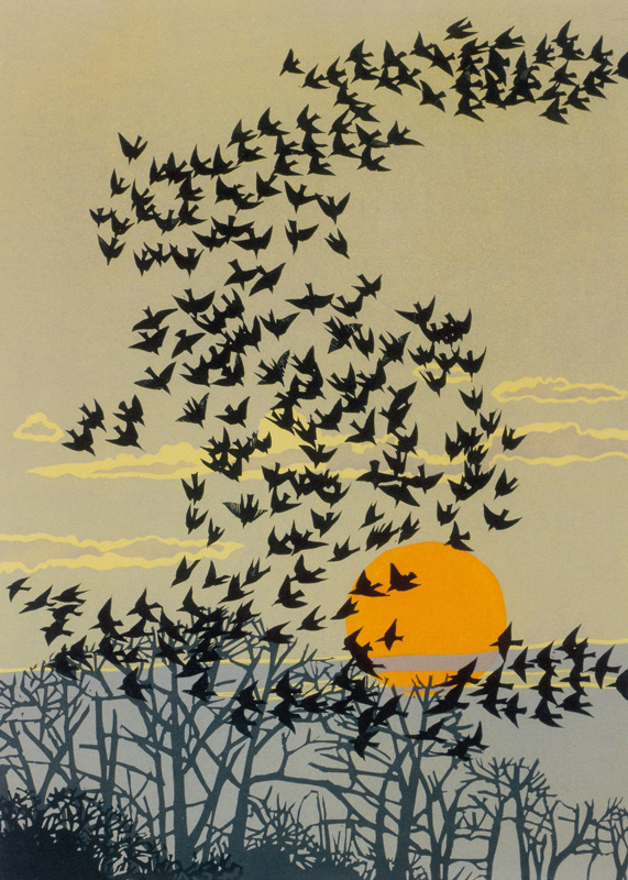 'Aerial Manoeuvres' by Robert Gillmor (V052) *