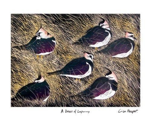 'A Deceit of Lapwings' by Lisa Hooper (A313)