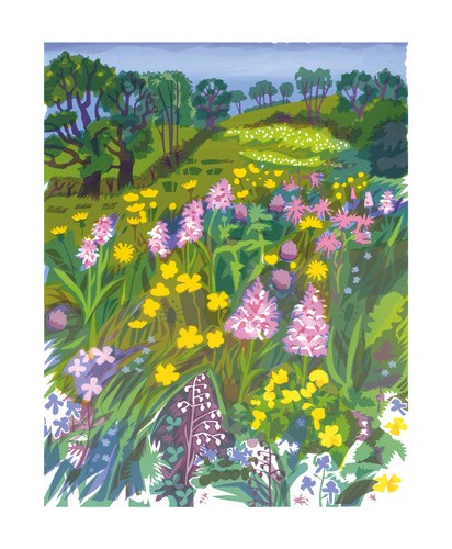 'A Rare Meadow' by Carry Akroyd (A827) *
