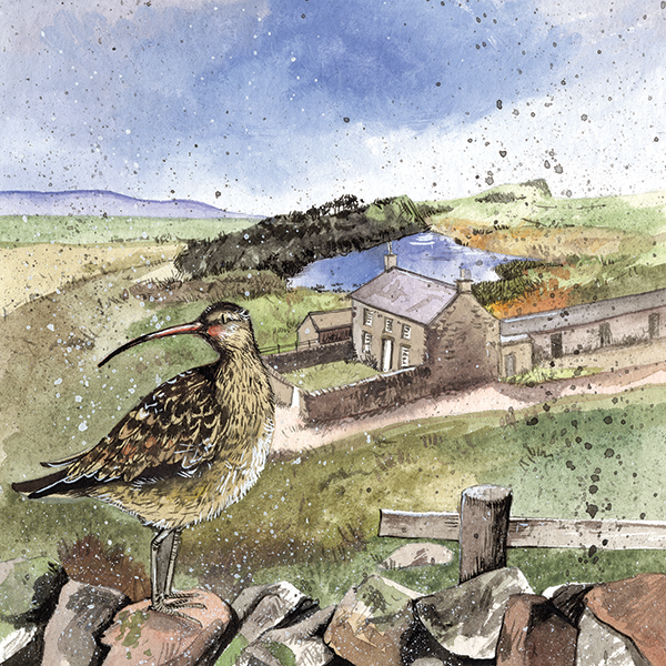'Curlew's Rest' by Alex Clark (E154) d Was 2.40, now 1.40