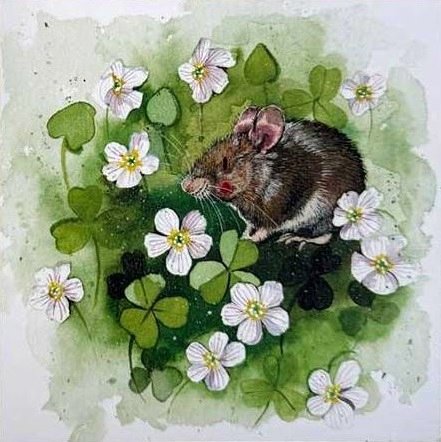 'Wood Mouse and Wood Sorrel' by Alex Clark (E190d) Was 2.50, now 1.45