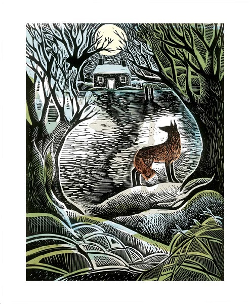 'Midnight Fox' by Angela Harding (A043w) (AH3245x)
