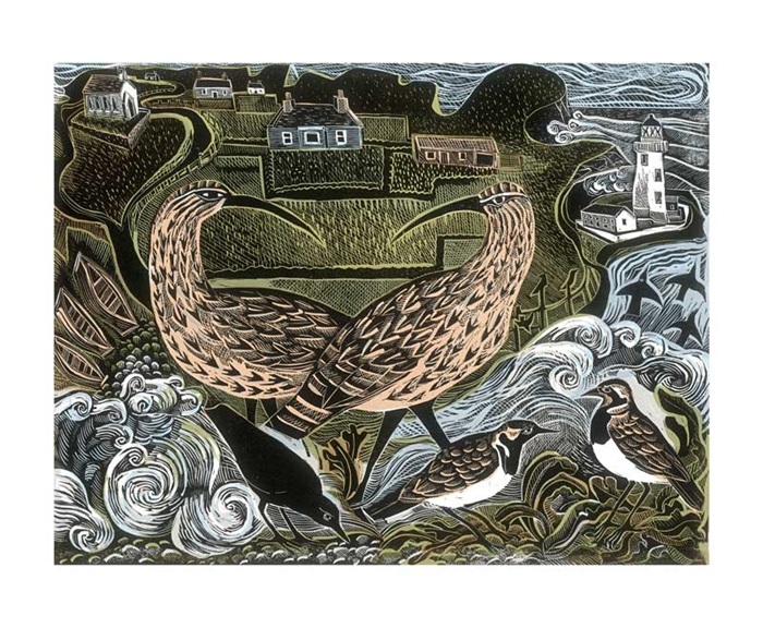 'Fair Isle Curlews & South Lighthouse' by Angela Harding (A145) (AH3256) NEW 