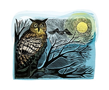 Our Latest Cards