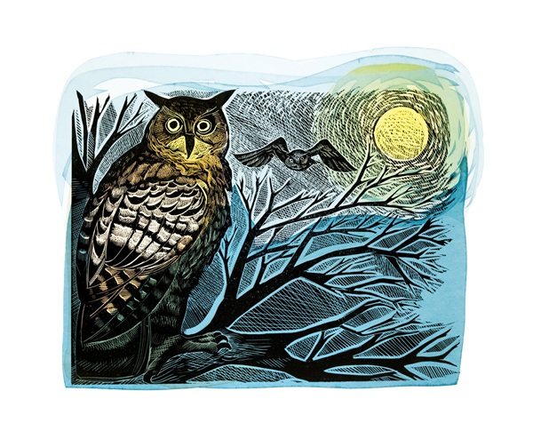 'Owl and moon' by Angela Harding (A163) NEW 