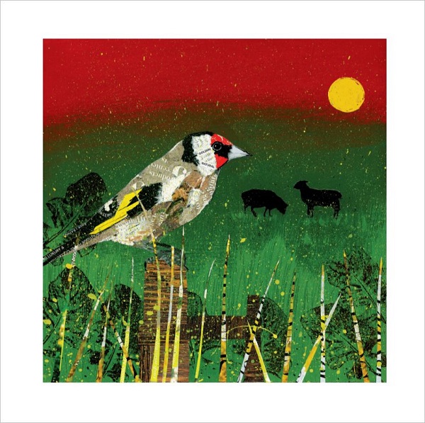 'Goldfinch, Summer Dusk' by Adam James Severn (D002) 