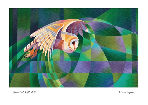 'Barn Owl and Bluebells' by Alison Ingram (J055) (AI16)