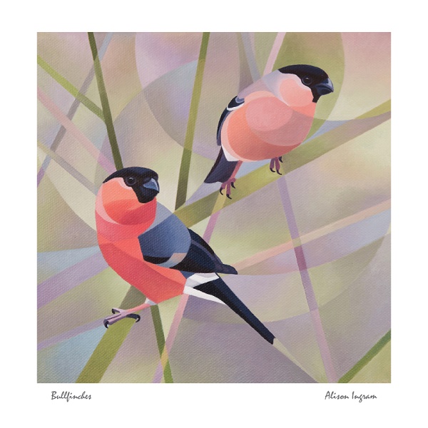 'Bullfinches' by Alison Ingram (J063) 