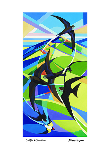 'Swifts & Swallows' by Alison Ingram (J045) (AI13)