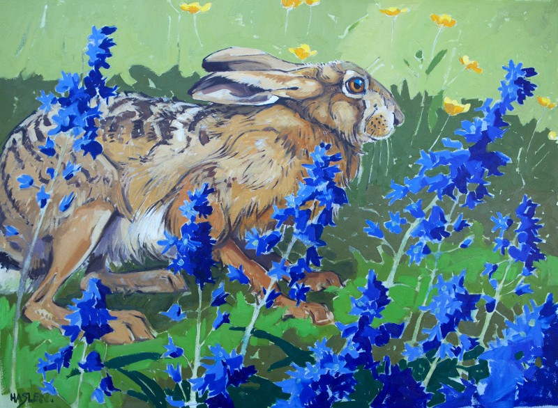 'Hare and Bluebells' by Andrew Haslen (W009) d