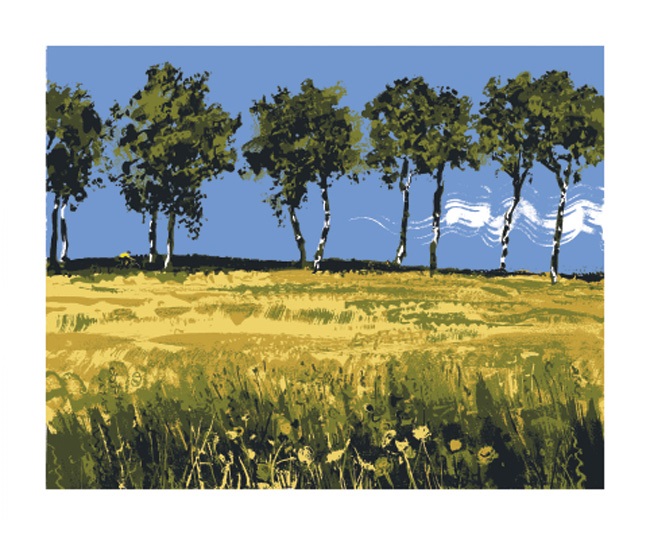 'Cyclist, Ariege II' by Andy Lovell (A838) (BL2043)