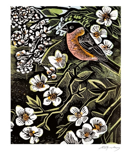'Blossomise' by Angela Harding (V002) NEW