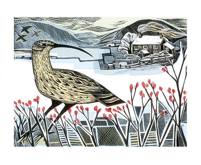'Curlew Christmas' by Angela Harding (A082w) 