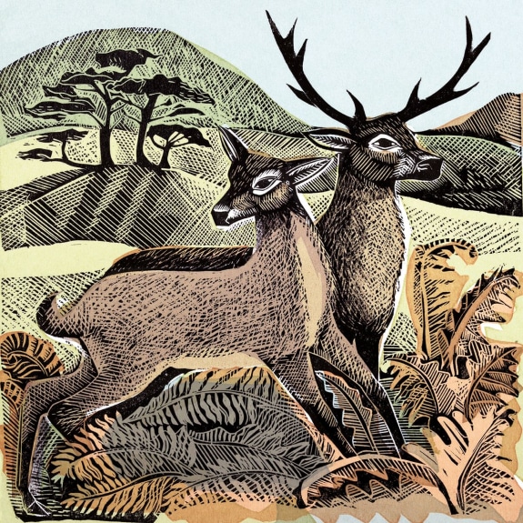 'Deer and Autumn Bracken' by Angela Harding (V003) NEW