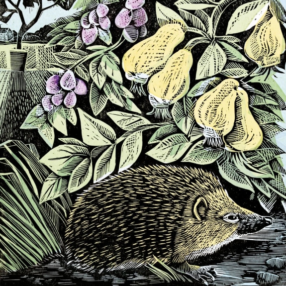 'Hedgehog and Fruits' by Angela Harding (V006) NEW