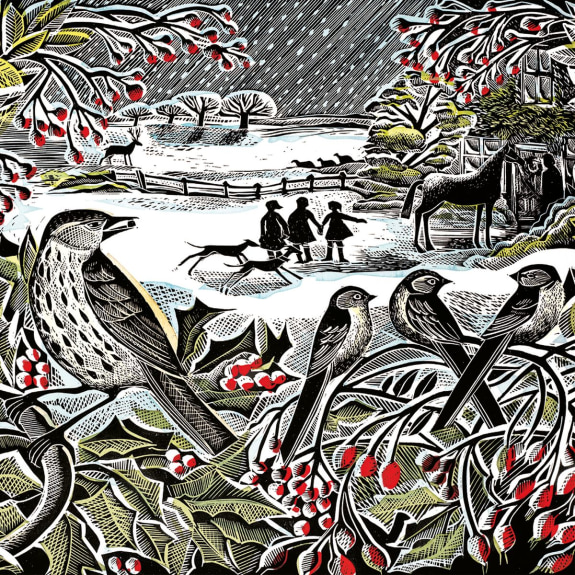 'Holly Hedge' by Angela Harding (5 pack)  (VX22) g2 (larger square format) 160mm x 160mm (message inside)  