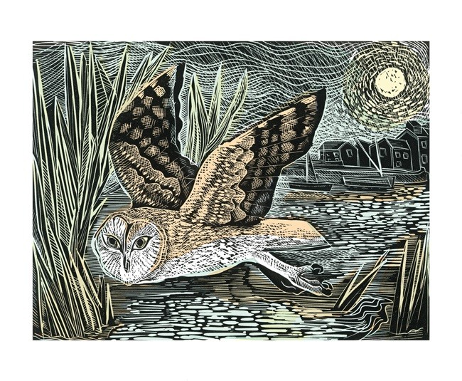 'Marsh Owl' by Angela Harding (A751) (AH1938)