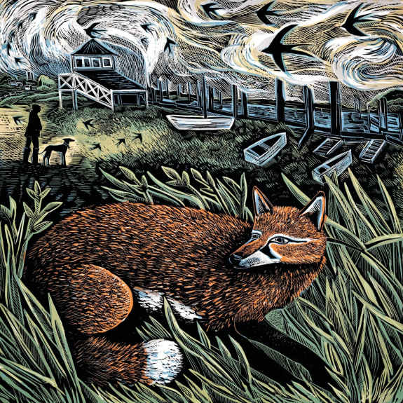 'Morston Fox' by Angela Harding (V005) NEW