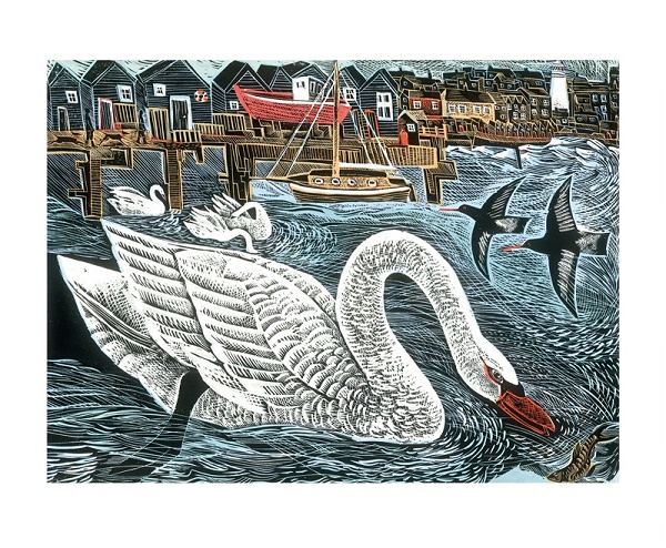 'Southwold Swan' by Angela Harding (A900) (AH3025)