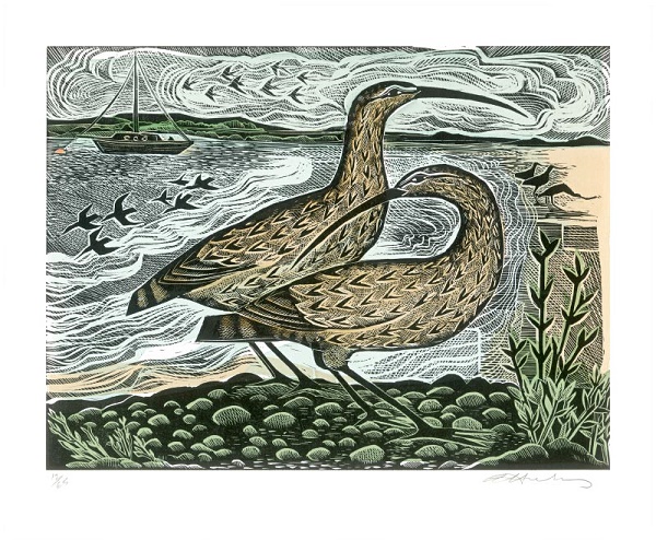 'Two Curlews on the Deben' by Angela Harding (A894) (AH3000)