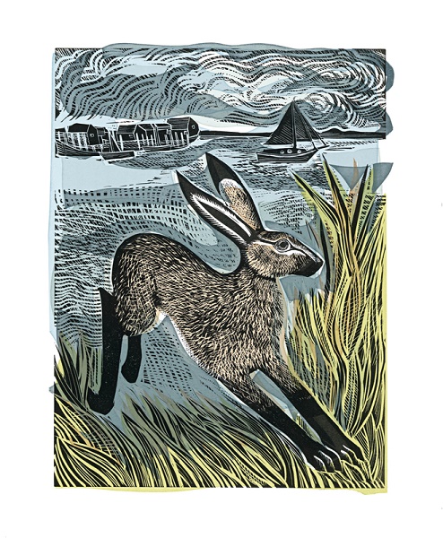 'Young Hare' by Angela Harding (A929) (AH3059)