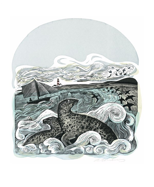 'Seals at Bardsey' by Angela Harding (A643) *