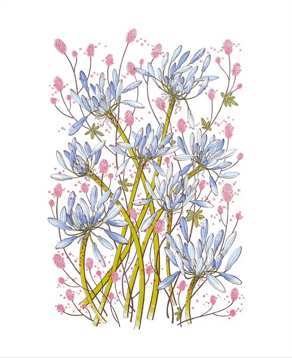 'Summer Blue' by Angie Lewin (A258) NEW 