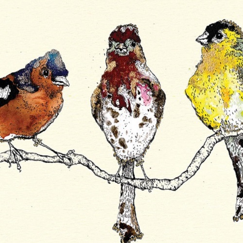 'Finches' by Anna Wright (K035) 